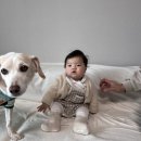 슈슈앤크라 믹클스카시 가디건, 테시체크 니트롬퍼, 라리에트블라우스 착용 후기 (가디건 털빠짐 해결법 )
