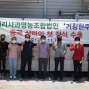 상하이영농조합법인 네이버블로그