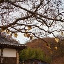 산길별채 이미지