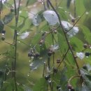 더 남산 이미지