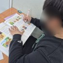 레나잉글리시영어학원