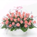 빵긋빵긋 이미지