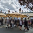 애니카랜드스타카 | 용인 에버랜드 자유이용권 할인부터 퍼레이드, 놀이기구 탑승 후기 [에버랜드]