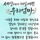 초상화 | [아트바네] 평생 간직할 특별한 팝아트 초상화 감사패 엄마한테 서프라이즈 한 후기