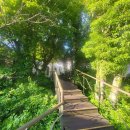 에코랜드 골프호텔 이미지