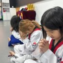 천명태권도 이미지