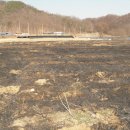 천마식당 이미지