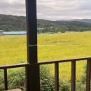 삼막골카라반펜션 이미지