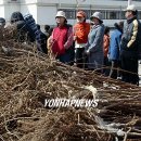 태백시청후문 이미지