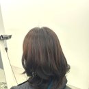 리헤어존 네이버블로그