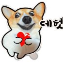 헤어살롱이유