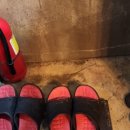 삼척들레펜션 이미지