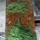 일우민박 이미지