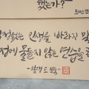 캘리그라피(야간) 이미지