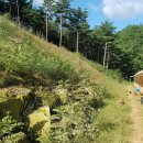 자연같이 팜 이미지