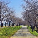 백곡천2 이미지