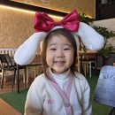 11545-05-00-12 | 의정부 애견동반식당 [어반밸리] : 아기랑 가기좋은 애견카페