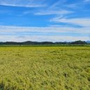 송림 태양광발전소 이미지