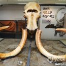 상아유통