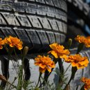 삼흥공업사 이미지