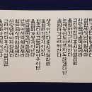 상미 이미지