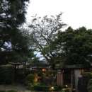 하나식당 | 유바 두부 정식 전통요리 맛집 추천 | 아름다운 정원 분위기 좋은 인생 식당 ‘하나 코스’ 예약 후기