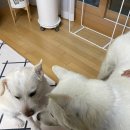 노아병원 이미지