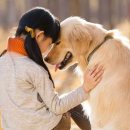 강아지꿈 이미지