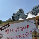 중앙-7 | 20260630 사직야구장 중앙상단석 054블럭 7열 12번 직관 후기