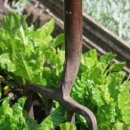 동의한의원 이미지