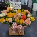 유스타게임랜드 이미지