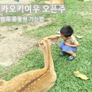 아이와 함께 방콕 동물원 가는법 카오키여우 오픈주 현실 후기