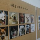 팅커벨 이미지