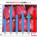 홍파 이미지