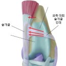 위례중앙동물의료센터 이미지