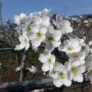 만리농장 이미지