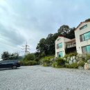 수니앤팬션 이미지