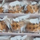 세동목장 네이버블로그