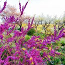 윤성세탁소 이미지