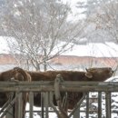 오토축산 이미지