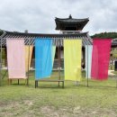 농암로(예안면) 이미지