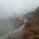 강원도, 추석 연휴(2025. 10. 04. ~ 10. 07.)에 미시령터널 통행료 정상 수납 이미지