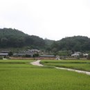 춘양건재