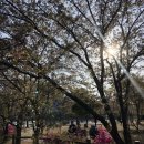 (주)애드코러스 | 4월 일상