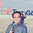 터키벨리 이미지