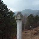 첨모당 이미지