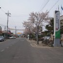 우포굴렁쇠민박 이미지