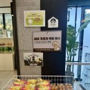 도창 | 부산근교 애견동반 숙소 창원 애견동반 휴일도스테이 애견동반찜질방 이용 후기