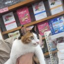 멍이의 품격 이미지