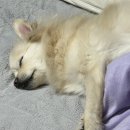 (주)여행명가 이미지